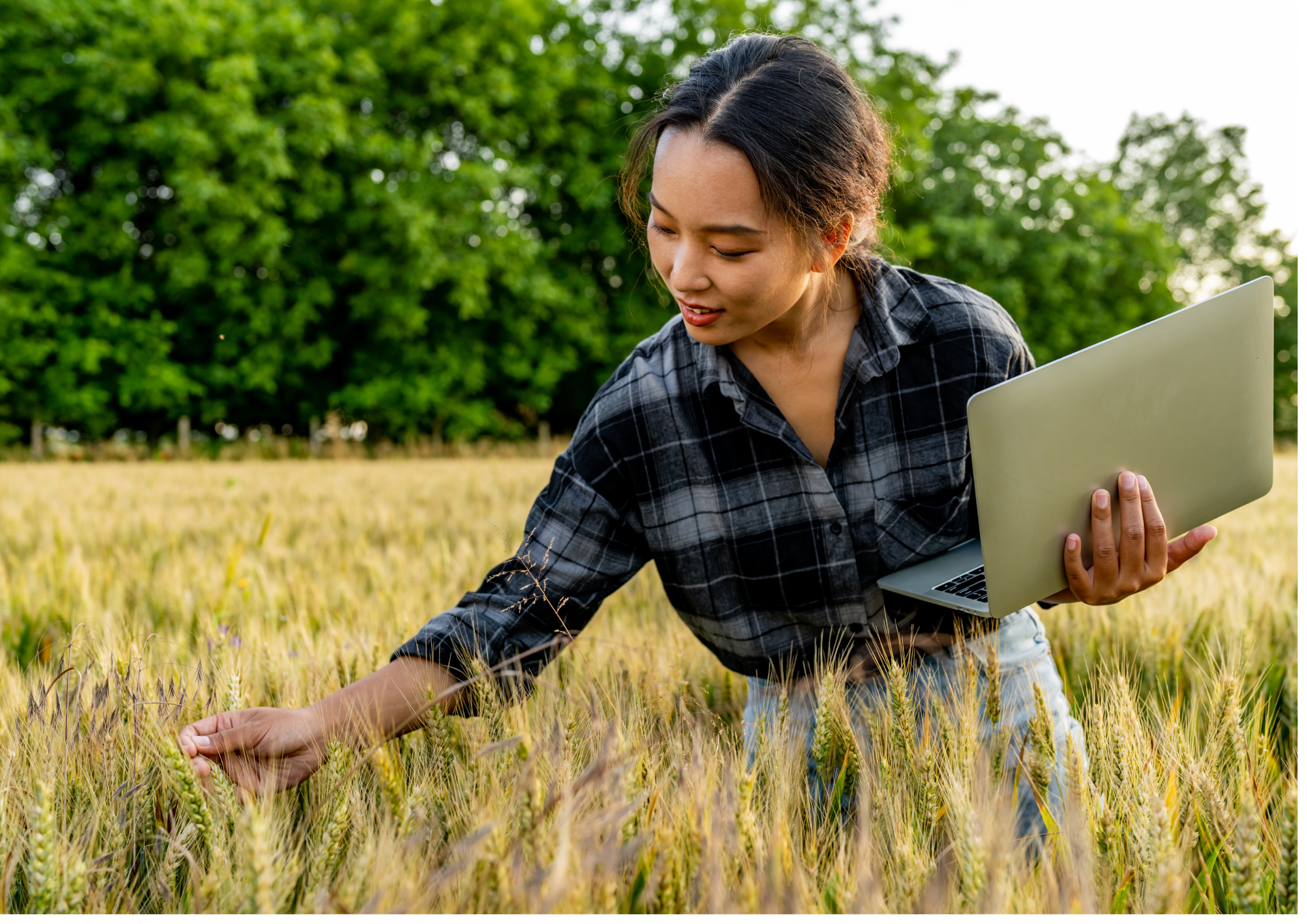 Profissionais do Agronegócio